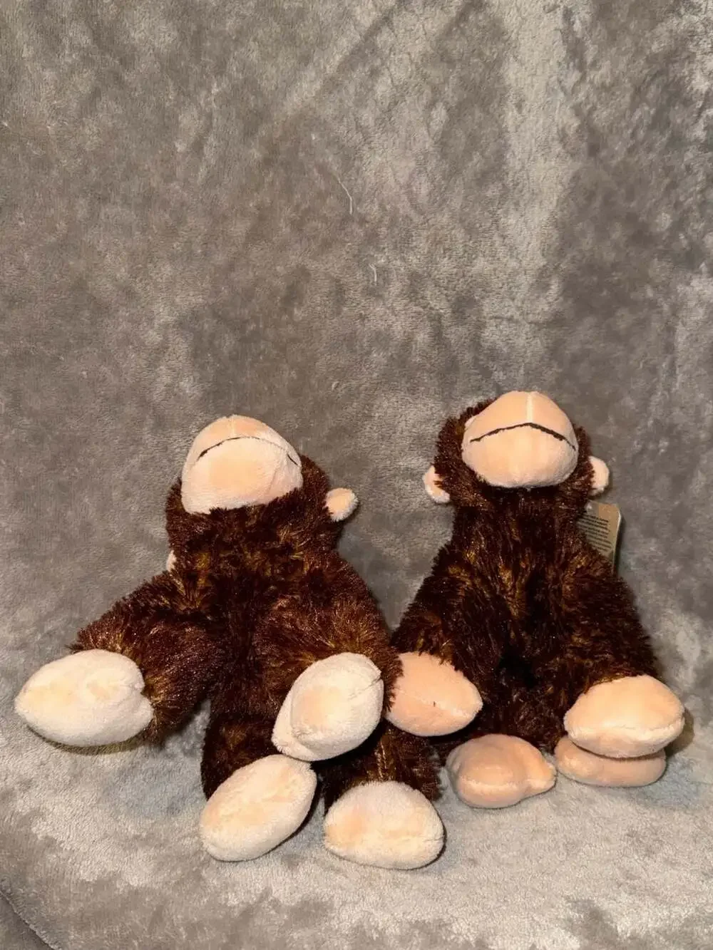 Aurora world brown
